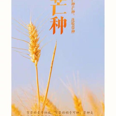 每周食谱｜水国芒种后  梅天风雨凉