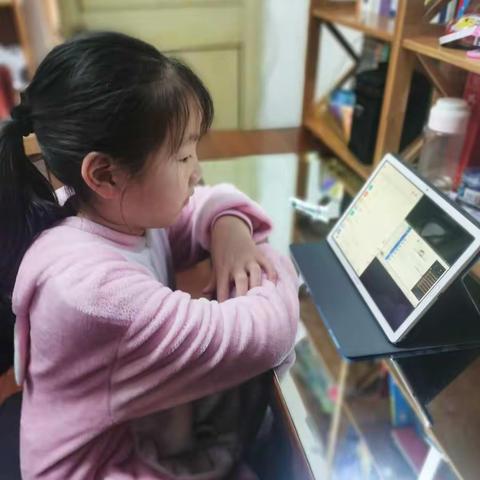 《不一样的假期    不一样的学习》大洋路小学305班胡雨婷