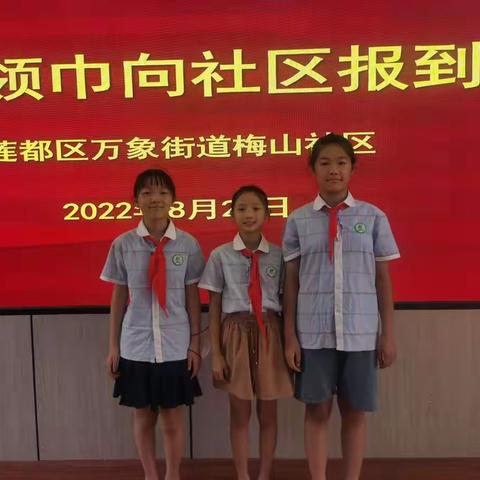 红领巾向社区报到一大洋路小学605班胡雨婷