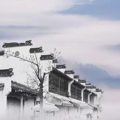 2019宝钢淞涛影协摄影作品年度展（上篇）