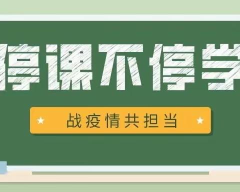 线上教学传递温情 共克时艰践行使命～沙海镇小学线上教学剪影