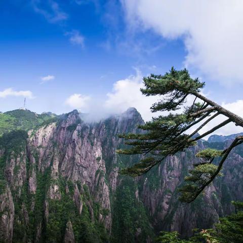 大美黄山
