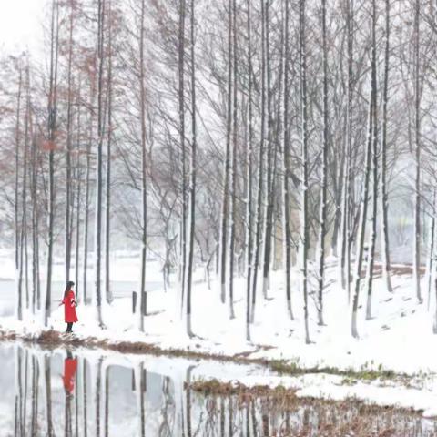 遇见最美的冬天