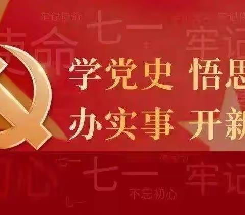 踔厉奋发新征程 ---民主小学党支部召开党史学习教育总结大会