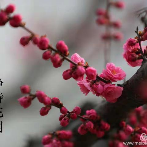 西大佛小学五年级语文寒假作业展评