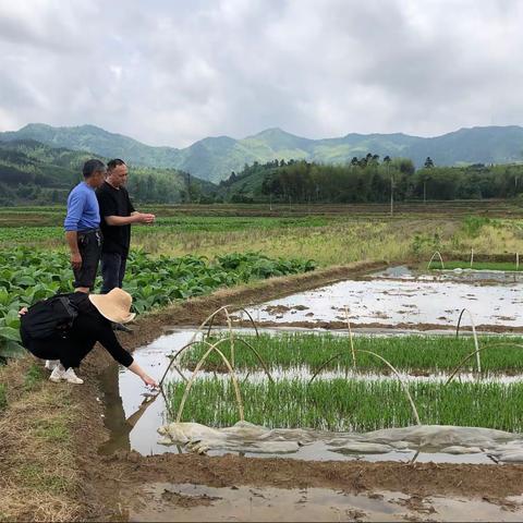 建宁县农业农村局科学应对暴雨天气保农业生产