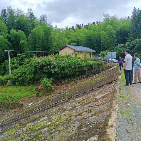 县农业农村局闻“汛”而动，向“雨”而行，全力应对暴雨天气保农业生产