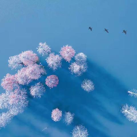 姑苏蓝盾摄影“佳片有约”第1期