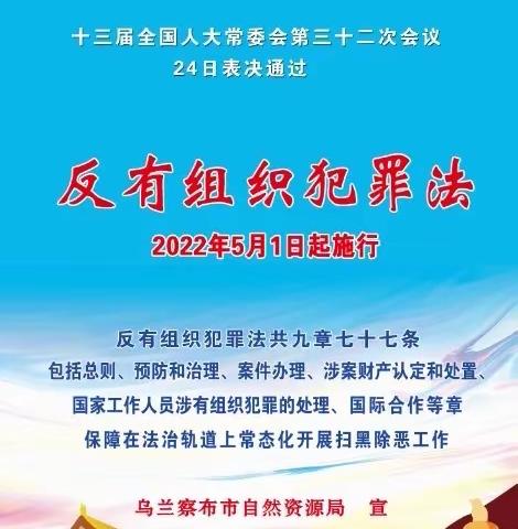 【建设银行新疆区分行乌鲁木齐北京路支行】反有组织犯罪法主题学习