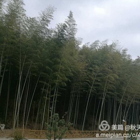 2016年12月10日，我们的足迹留在泽雅马鞍岩