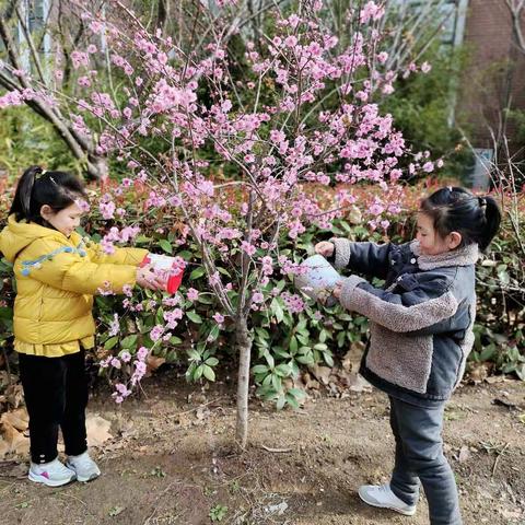 春风十里，不如这里