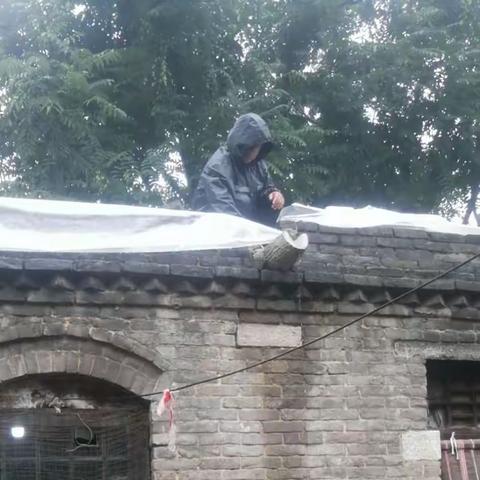 “舍小家为大家”，暴雨中的“抗洪”书记——大胡街道罗村社区党支部书记王廷生