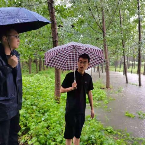 心系群众，坚守防汛岗位——大胡街道组织委员石春妥善安排防汛工作