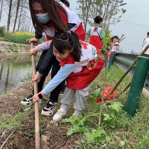 【洗马湖X2106中队】草长莺飞二月天，绿水青山记心间