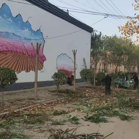 【贯彻新精神 奋进绘新篇】河南疃镇:打响人居环境整治秋冬战役