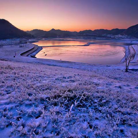 冬天，惊艳了整个世界的那一场风花雪月