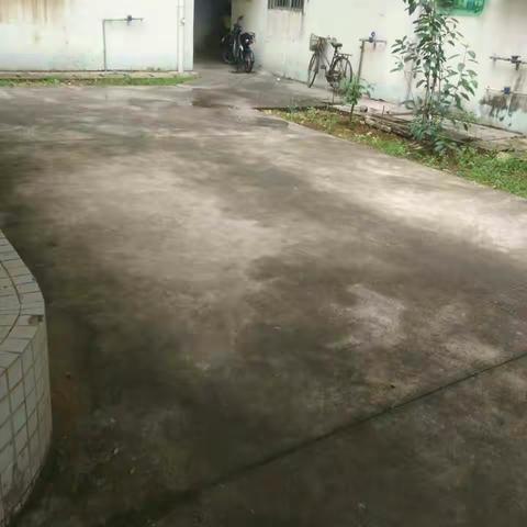 “创文”接力你我他——市菜篮子集团开展创文志愿服务活动