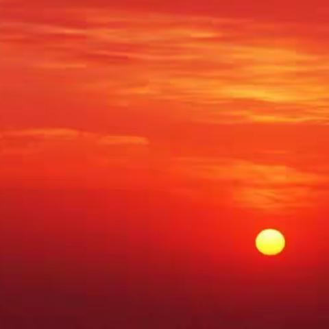 当“菜篮子”笔杆子，扬“菜篮子人”风采！