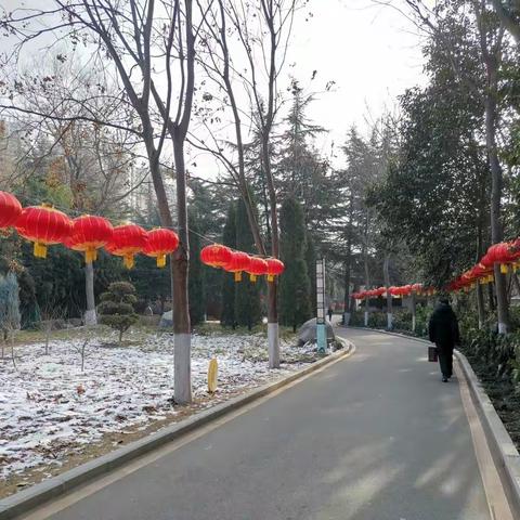 大红灯笼高高挂——张灯结彩过新年    市人民公园管理处积极营造过年气氛
