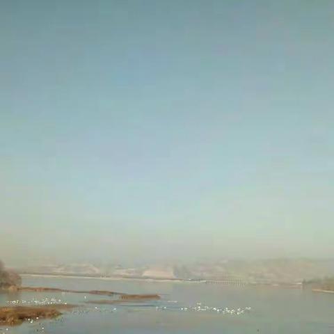 魅力中国城,美丽三门峡(外中七八班)