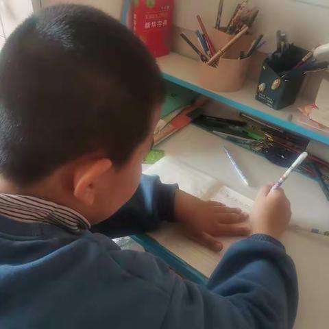 新学期学校计划