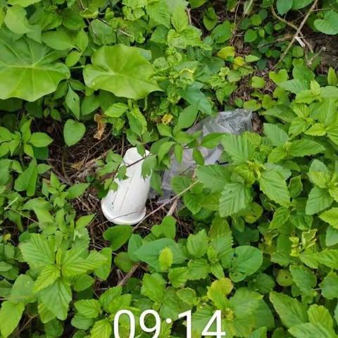 质量考核——桂林洋开发区10月24日整改汇报（上）