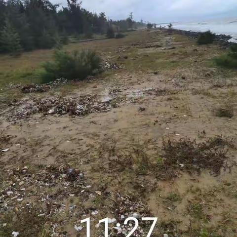 质量考核——桂林洋开发区海岸线环境卫生10月14日专项督查整改汇报