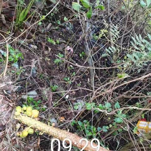 质量考核——桂林洋开发区10月30日整改汇报（上）