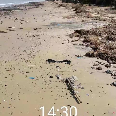 质量考核——桂林洋开发区海岸线环境卫生10月22日专项督查整改汇报