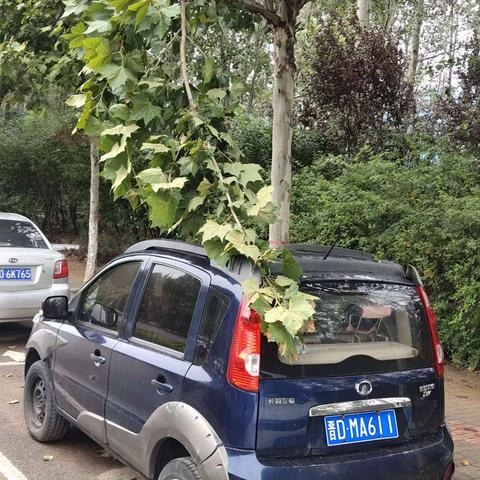 08月30日压力容器科巡街问题清单