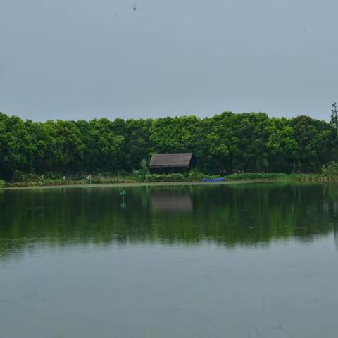 江南烟雨、小桥流水