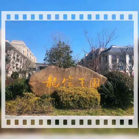 龙信玉园玉园物业1月服务篇