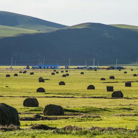追逐呼伦贝尔金秋之印记（上）