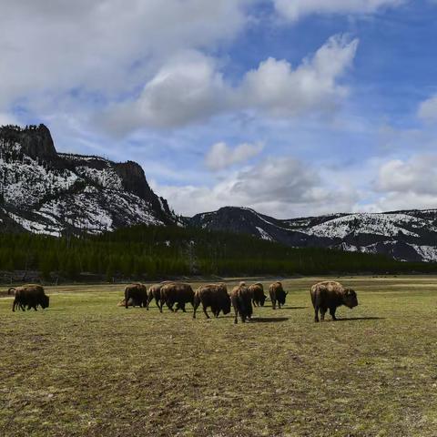 美国西部房车之旅三
