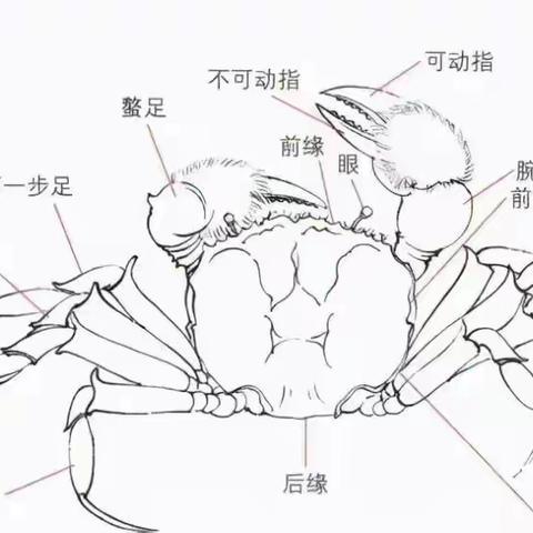 东关小学一年级国画社团第二课