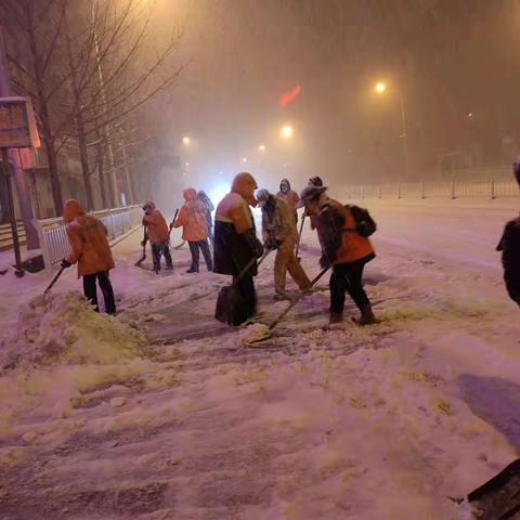 一抹橘红 雪中绽放