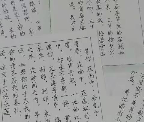 肇庆鼎湖中学八年级3班第5小组暑假综合实践作业