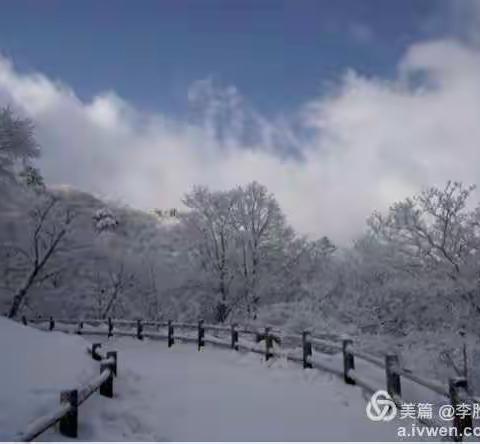 黄山四季皆胜景，唯有腊月景更胜