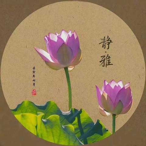 绍兴市科普摄影研究会第七组2022小组活动（四）