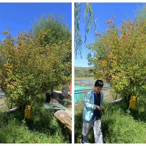 【张津瑞】暑假生活