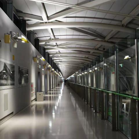 2019年11月日本行记录之一