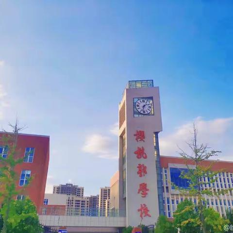 加强理论学习，促进专业成长——临颍县樱桃郭学校小学数学三组活动实记