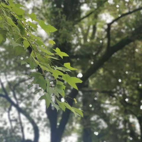 找寻永安印象