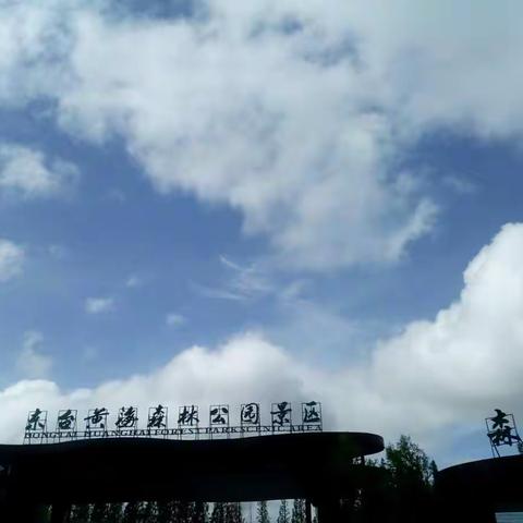 一生的幸福在年轻时的选择——2018年市青年联谊会