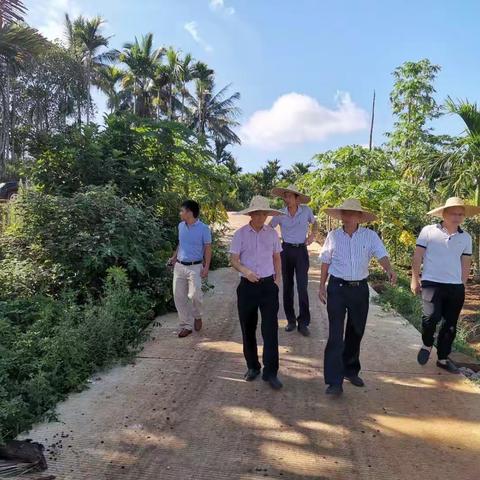 礼合村 l 关切群众心声“查堵点  解民忧  促发展”