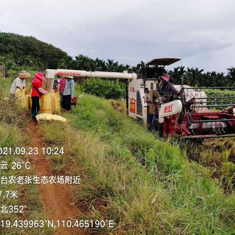 礼合村l开展秸秆禁烧 促进绿色发展 赋能乡村振兴