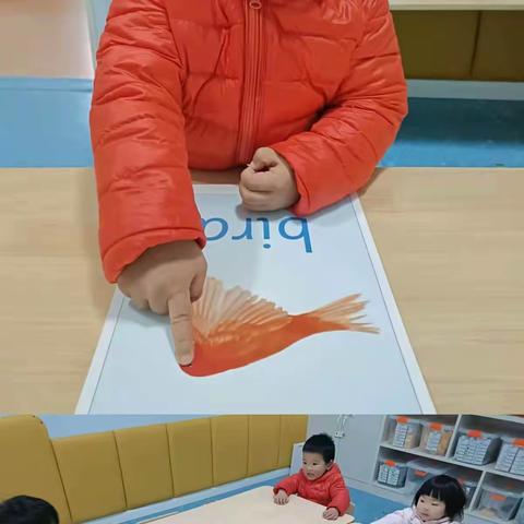 优贝乐优秀毕业生——金彦成长记录