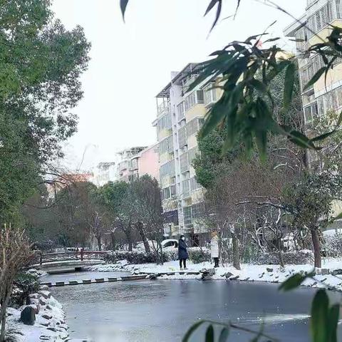 满庭芳     大雪无痕