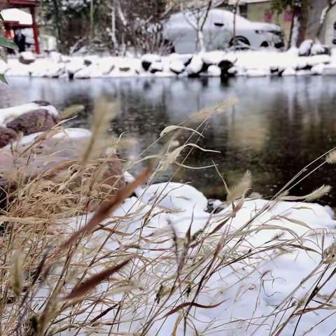 首雪即事