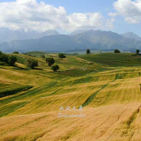 江布拉克的原野、草原与峻峰